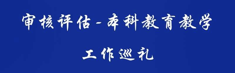 审核评估